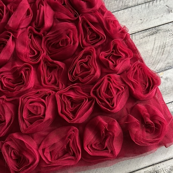 Gap Dark Red Holiday Dress Floral Tulle Roses Size 4 - Picture 2 of 7